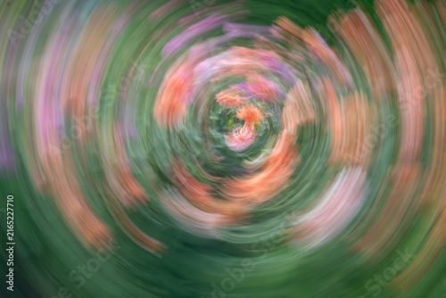 Foto Abstract orange and pink flowers with green foliage transformed by intentional camera movement into a swirling painterly composition with circular motion and soft flowing colors