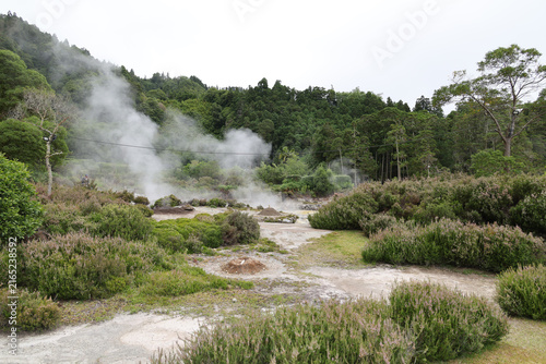 The Vale das Furnas-the Furnas Valley-on the Portuguese Azores island of Sao Miguel is the heart of the island's active volcanism