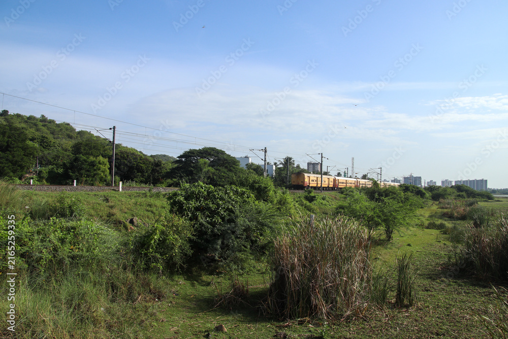 Fototapeta premium Passenger train travels through lush green countryside beside railway tracks, with overhead electric lines, blue sky, vegetation, and distant urban buildings creating scenic contrast background.