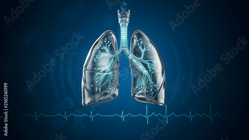 Digital illustration of human lungs with respiratory system and heartbeat line
