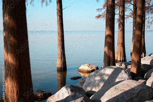 Serene Lake Shore with Tall Trees and Rocks