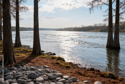 Riverbank with Mossy Trees and Sunlit Water
