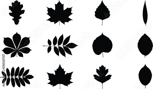 Set of black tree leaf silhouettes for nature design