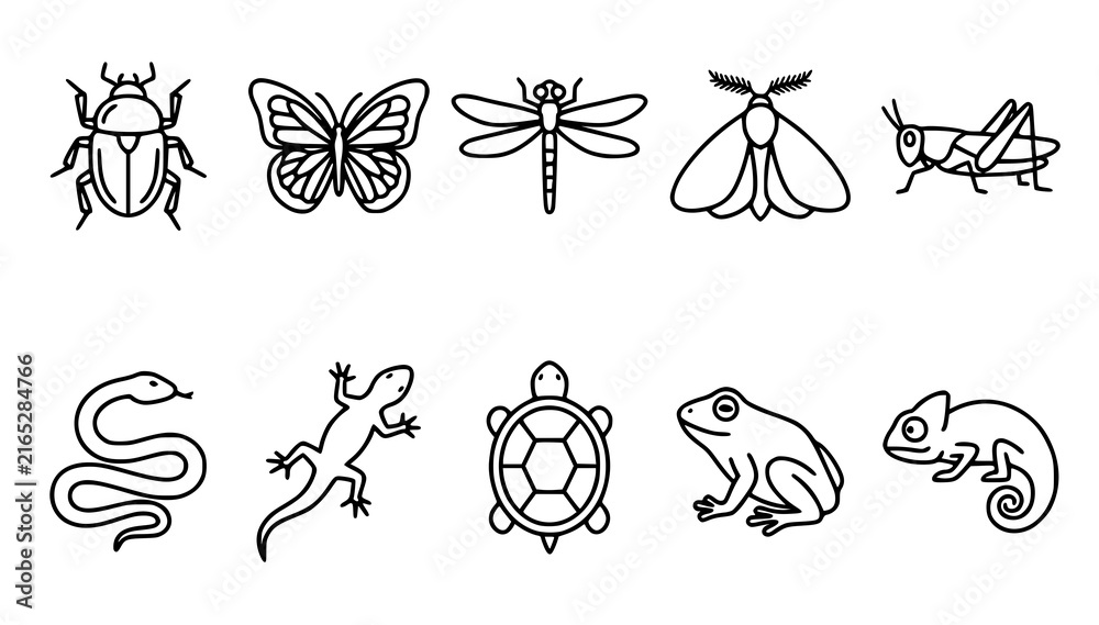 Fototapeta premium Wildlife Bug Reptile Insect and Animal Outline Vector Icon Set