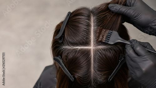 Professional Colorist Applying Hair Dye to Sectioned Gray Roots