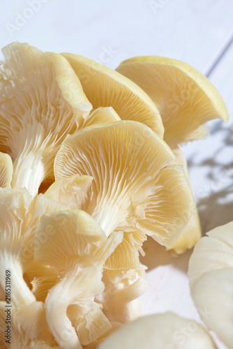 Golden Oyster Mushrooms (Pleurotus citrinopileatus) on wooden table