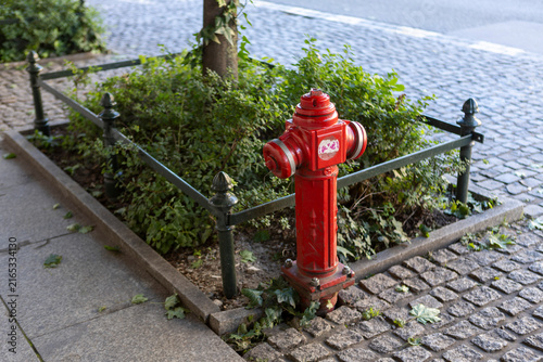 Red Fire Hydrant on Cobblestone Street Sidewalk
