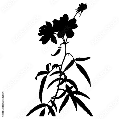 Flower Silhouette Icon