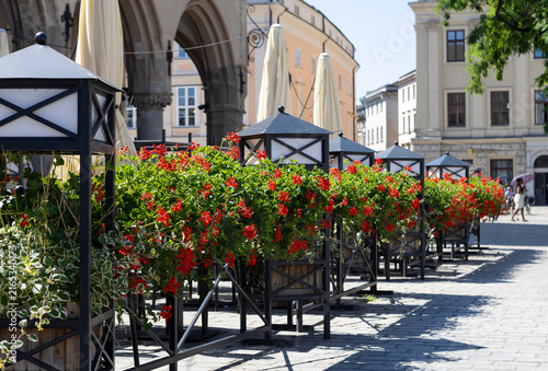Red Geranium Flower Boxes along Outdoor Cafe at Sukiennice Krakow