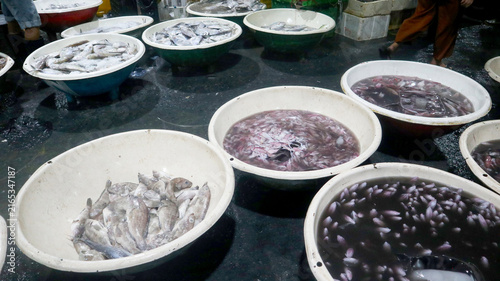 Foto Bustling local fish market featuring various types of freshly caught fish and squid displayed in large, round plastic tubs