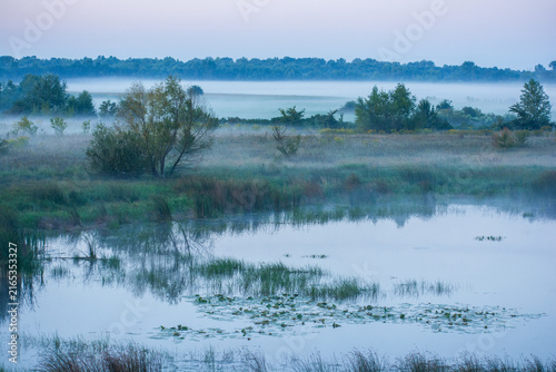 Картината върху платно A serene misty morning landscape features a calm lake in the foreground reflecting trees and a distant forest under hazy skies
