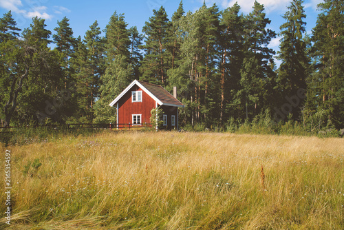 Swedish Red Wooden House by Tall Summer Meadow and Forest