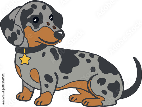 Картината върху платно Cute dapple spotted dachshund dog puppy pet canine showing happy expression with