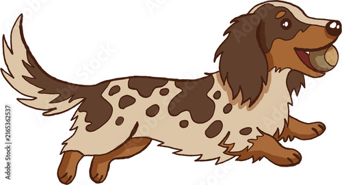 Obraz na plátně Happy playful brown spotted dog running outdoors with ball shows joyful emotion