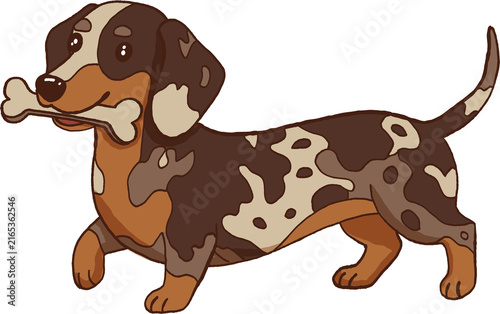 Canvas Print Happy dapple dachshund hound puppy dog carries tasty bone, cute domestic pet wal