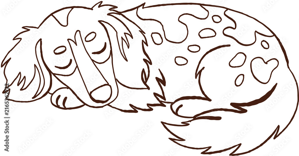Obraz premium Peaceful sleeping spotted dog outline art showcasing quiet pet canine mammal resting comfortably indoors