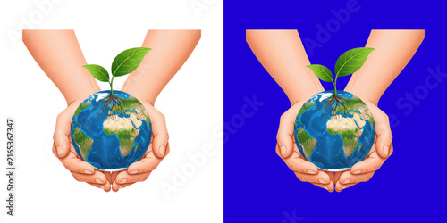 Human hands holding a globe with a small green plant sprout
