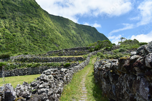 Terraced stone walls with fields and footpath in the middle below lush green mountain slope, Flores Island, Azores