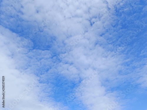 Widespread layer of white altocumulus clouds in a blue sky. Rippled mackerel sky texture background