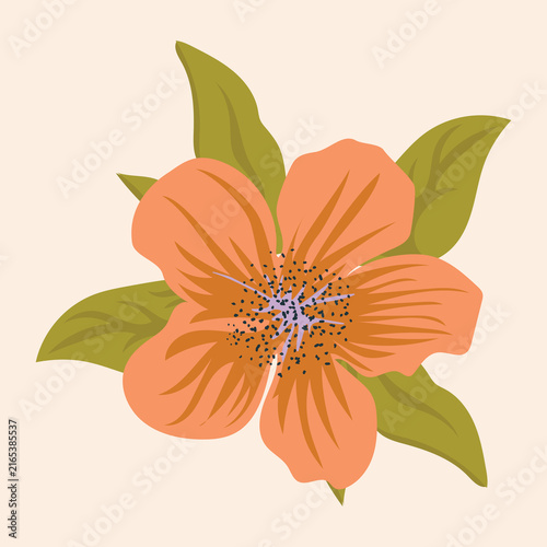 Minimalist boho botanical flower, autumn terracotta blossom.