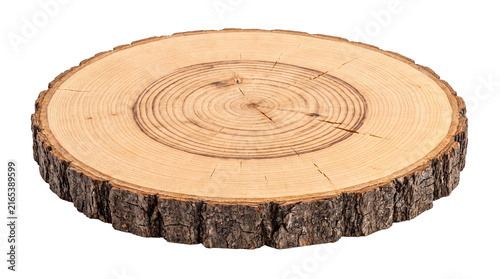 Fotografie Wide and flat cross section of a tree log displaying distinct annual growth rings and natural bark edge