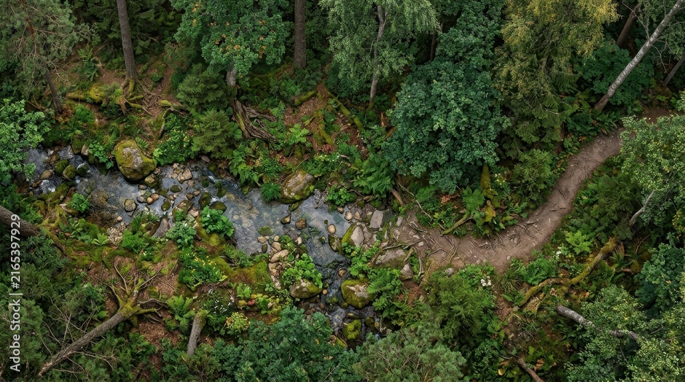 Obraz premium Aerial view of a lush green forest featuring a rocky stream and a winding dirt hiking path in summer