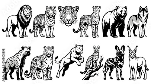 Set of wild animal illustrations featuring a majestic lion tiger and various predatory mammals in a detailed black and white vector design