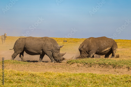 Photography Afrika