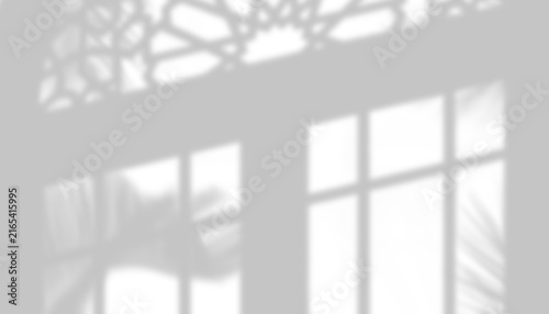 Soft Shadow Overlay of Palm Leaves Behind Window Frame