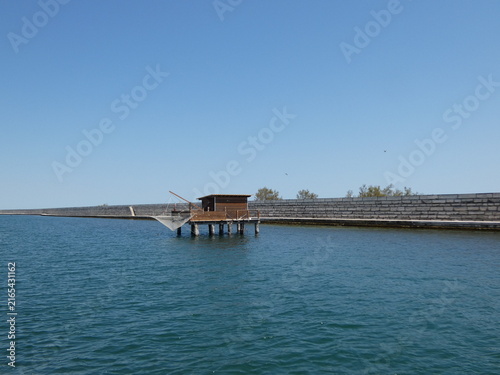 Tapety artystyczne Pellestrina
