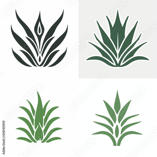 Set of four agave plant icons and succulent leaf vector illustrations for logo design