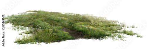 green grass isolated on white/High-detail realistic green grass patch with wild plants and dirt path isolated on white background, perfect for architecture visualization 