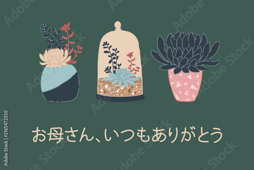 Decorative Succulent Collection in Colorful Pots, Japanese Mother’s Day Illustration with Text “Mom, Thank You for Everything”