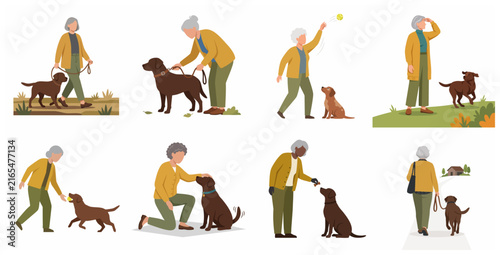 Elderly women with dog set, senior lady walking, playing, and bonding with her pet chocolate labrador, lifestyle vector illustration.