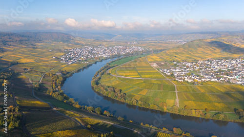 Cuadro en lienzo Trittenheim, Moselle Valley with loop of Mosel river, aerial view, riesling wine