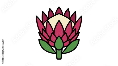 King protea bloom vector illustr...