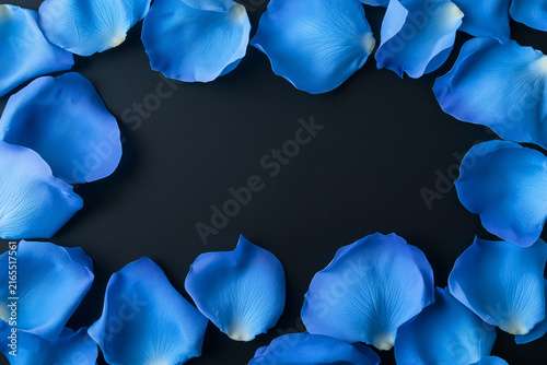 Blue rose petals arranged around the edges of a dark textured surface, creating a frame-like composition.