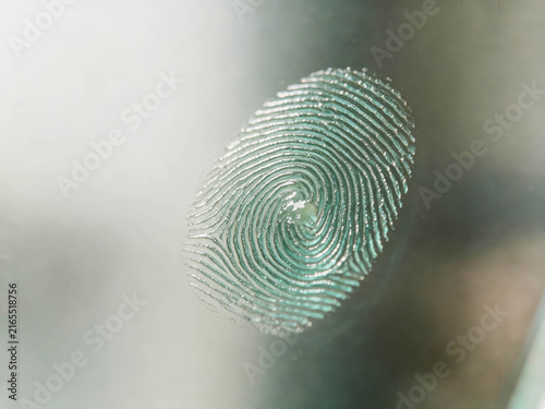 Detailed fingerprint impression on glass with shimmering ridges, evoking personal identity, biometric security, forensic analysis, and digital privacy.