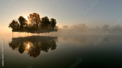 Floating Island of Pine and Golden Birch Trees in Soft Mist