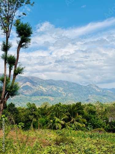Lush Tropical Landscape with Mountains, Palm Trees and Blue Sky in Sri Lanka