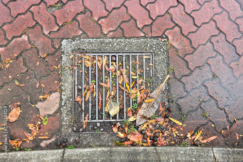 Konstfotografi Overhead view on clogged drain cover on street with leaf and earth risk flooding