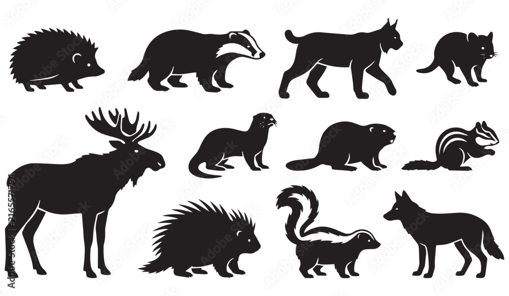 Obraz premium Vector set of black silhouettes of woodland animals and small mammals featuring hedgehog, badger, lynx, otter, beaver, chipmunk, porcupine, skunk, and elk on white background.