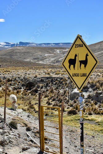 Llama crossing sign on an Andean road in Peru