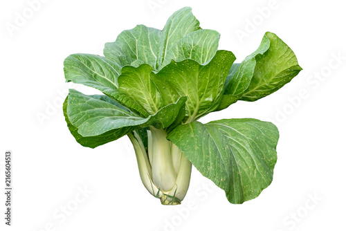 Foto Green Bok Choy Vegetable Isolated on White Background, Pak Choi Chinese Cabbage