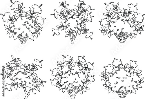 Rectangular Hedge Border Plan Vector Set, Architectural Landscape Formal Garden Edge Outline Clipart, Site Plan Boundary Shrub Design Bundle