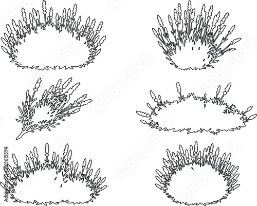 Spiky Reed Grass Elevation Plan Vector Set, Architectural Landscape Ornamental Rush Outline Symbol Clipart, Site Plan Grass Form Design Bundle