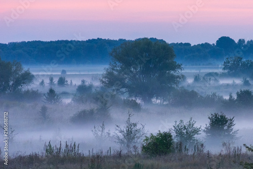 Konstfotografi A serene landscape captures misty lowlands covered in dense fog during a beautif