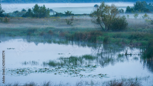 Konstfotografi A serene landscape captures a misty morning over a calm marshy lake, with soft g