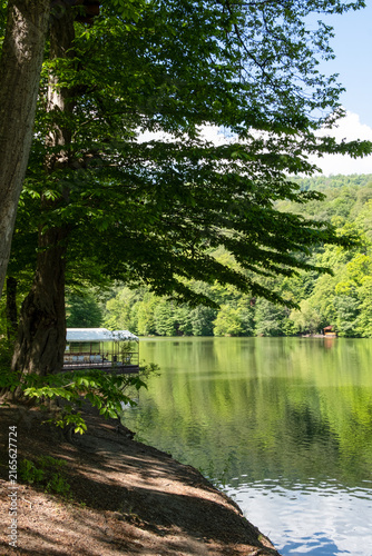The shore of Lake Parz in Dilijan National Park, Armenia