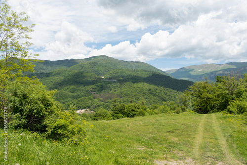 Beautiful nature in the Tavush mountain region of Armenia, near Dilijan.